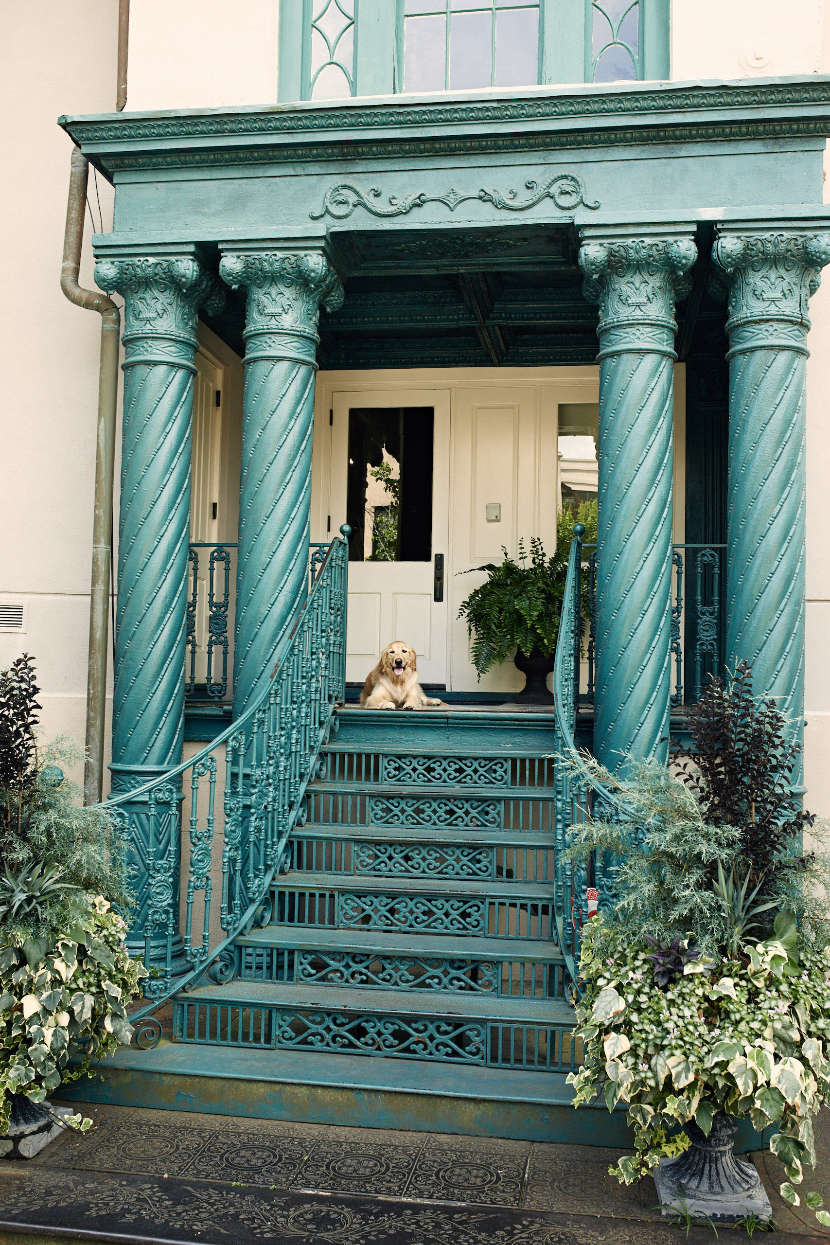 dog laying on the porch