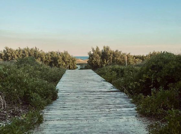sullivans_island