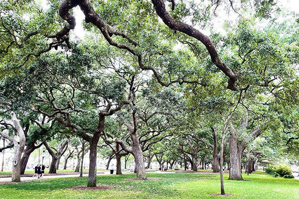 White Point Gardens