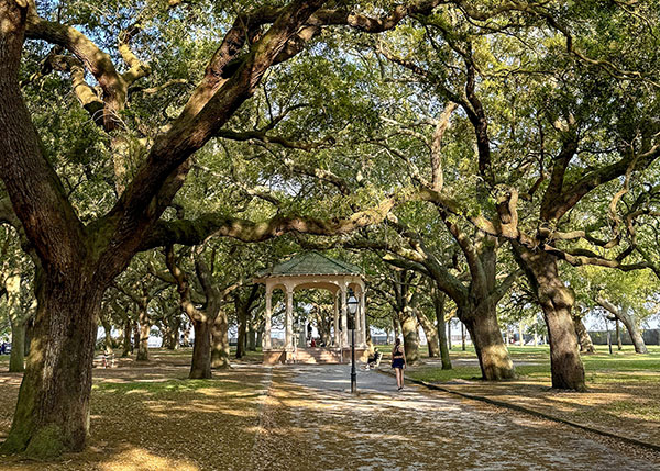 whitepoint garden gazebo