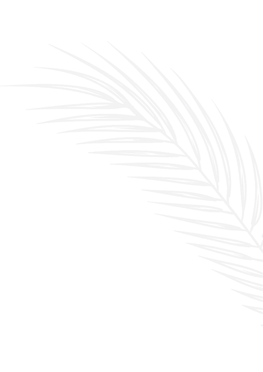 palm frond illustration